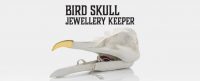 NAM-00085-suckuk-bird-skull-jewellery-keeper